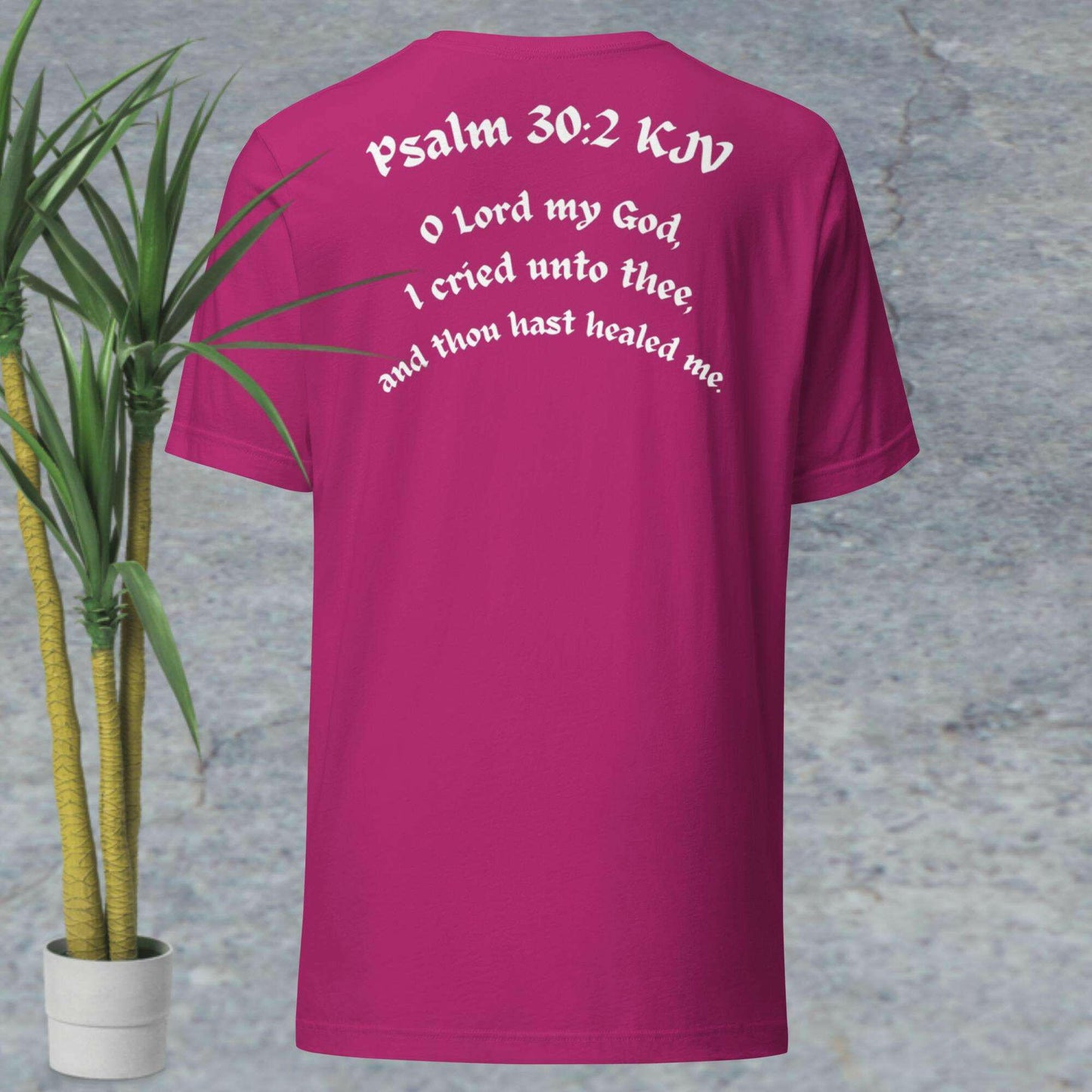 Psalm 30:2 KJV - Unisex T-Shirt.