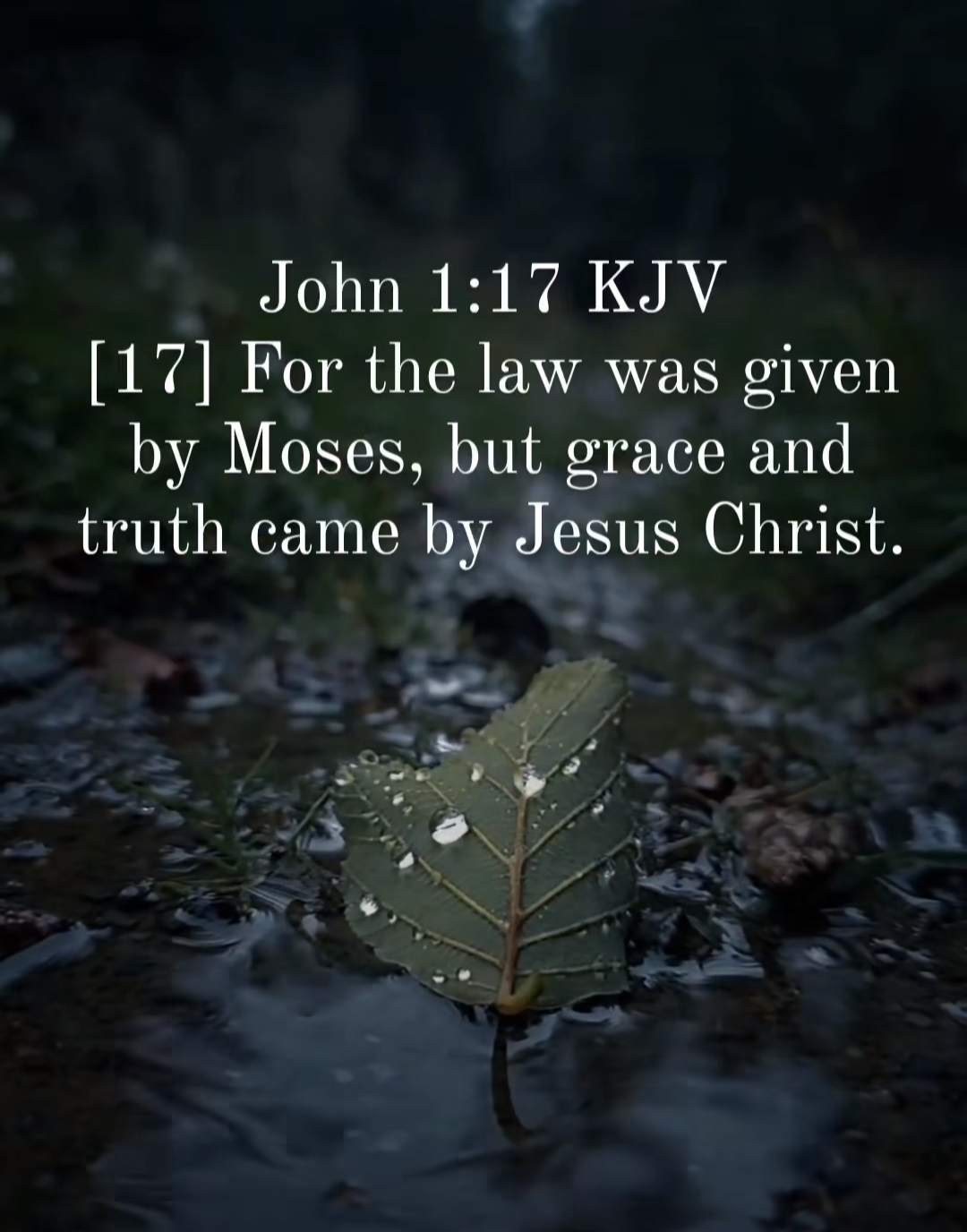 White text placed over water droplet covered leaf, John 1:17 KJV For the law was given by Moses, but grace and truth came by Jesus Christ.