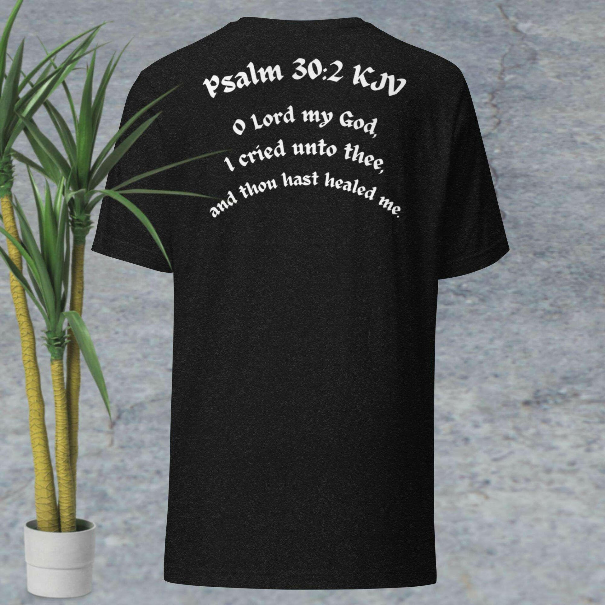 Psalm 30:2(WHT) - Unisex t-shirt